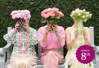 Header navigation sub menu